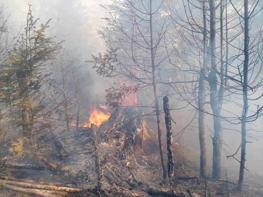 Final de interventie la incendiu de vegetatie uscata  dupa doua zile asidue | imaginea 2