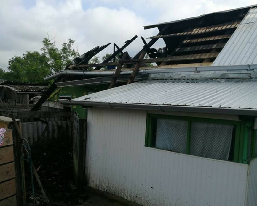A vrut sa scape de purici  dar si a incendiat adapostul de animale | imaginea 1
