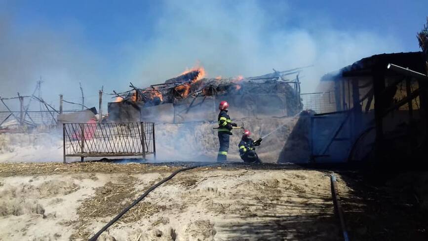 Incendiu la un adapost de animale si la depozitul de furaje | imaginea 2