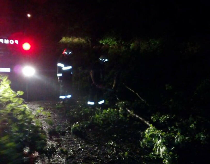 Pompierii clujeni au actionat pentru inlaturarea efectelor fenomenelor meteo extreme | imaginea 1