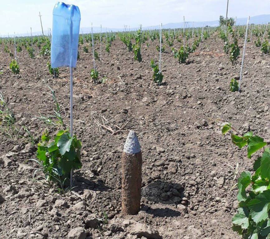 Proiectil exploziv descoperit de un cetatean in timpul unor lucrari agricole | imaginea 1