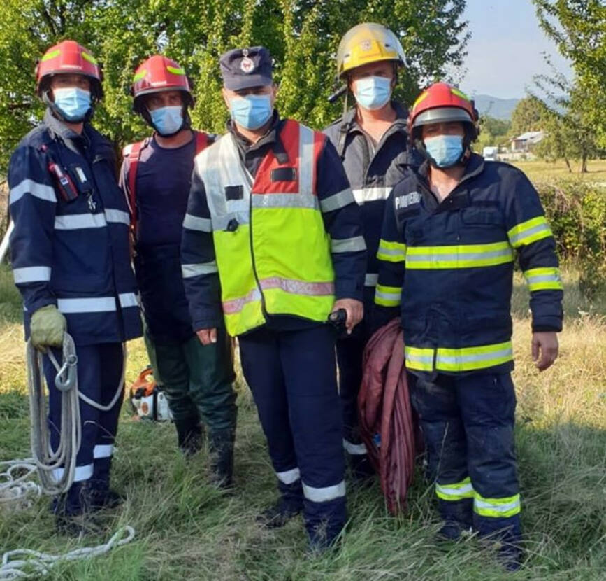 Misiune dificila de salvare a unei bovine cazute intr o fosa | imaginea 1