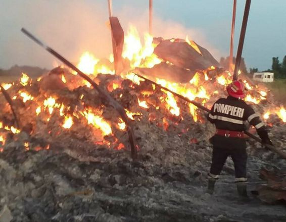 Peste 100 de misiuni ale pompierilor mehedinteni la sfarsit de saptamana | imaginea 1