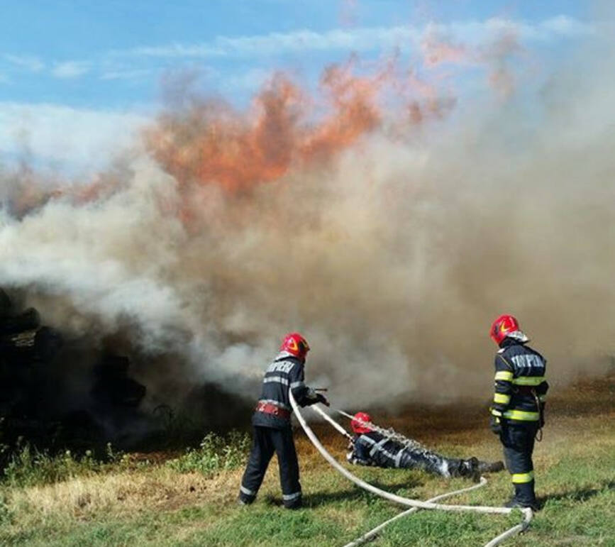 Pisoi salvat din flacari de pompierii vasluieni | imaginea 1