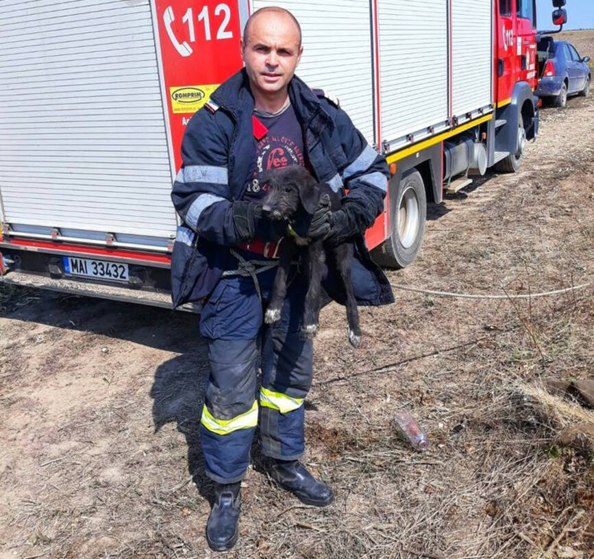 Catel salvat dintr un put adanc de 30 de metri | imaginea 1