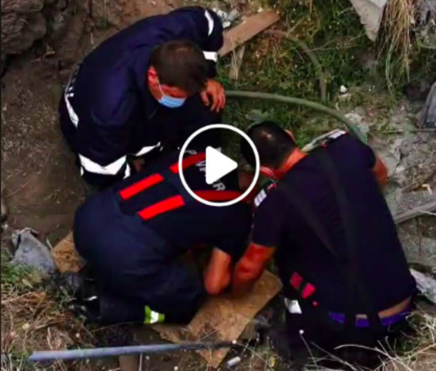 Dupa 4 ore de efort sustinut  au salvat un catelus cazut intr un tub de canalizare | imaginea 1