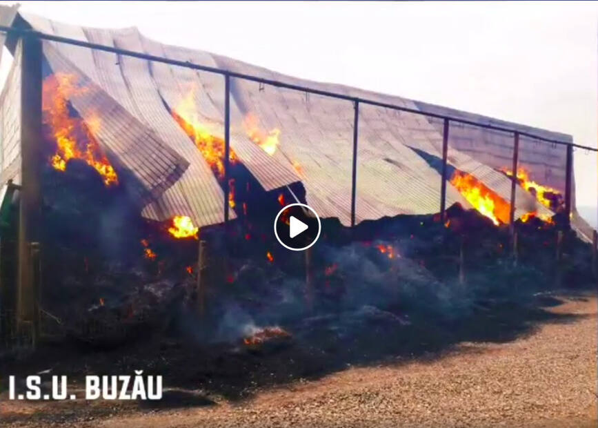 Incendiu violent la doua hale de depozitare | imaginea 1