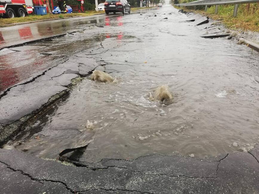 Interventii in Valea Jiului  in urma fenomenelor meteo periculoase | imaginea 2