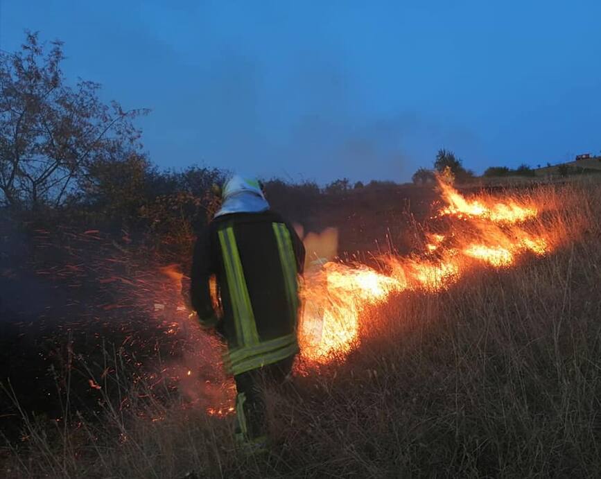 Pompierii vasluieni au salvat de la parjol peste sapte hectare cu vita de vie | imaginea 1