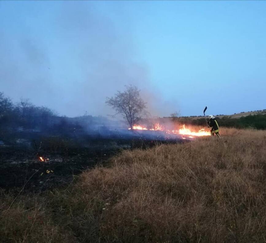 Pompierii vasluieni au salvat de la parjol peste sapte hectare cu vita de vie | imaginea 2