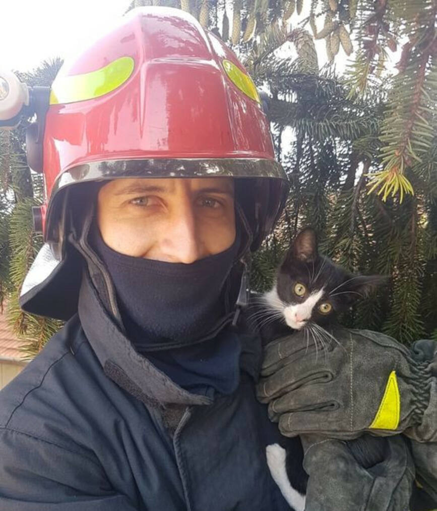 Salvarea vietii animalelor ramane o prioritate pentru pompierii brasoveni | imaginea 1