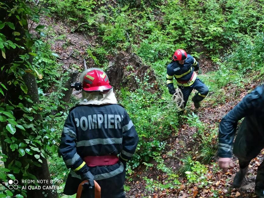Au intervenit pentru salvarea unui cal cazut intr o rapa | imaginea 1