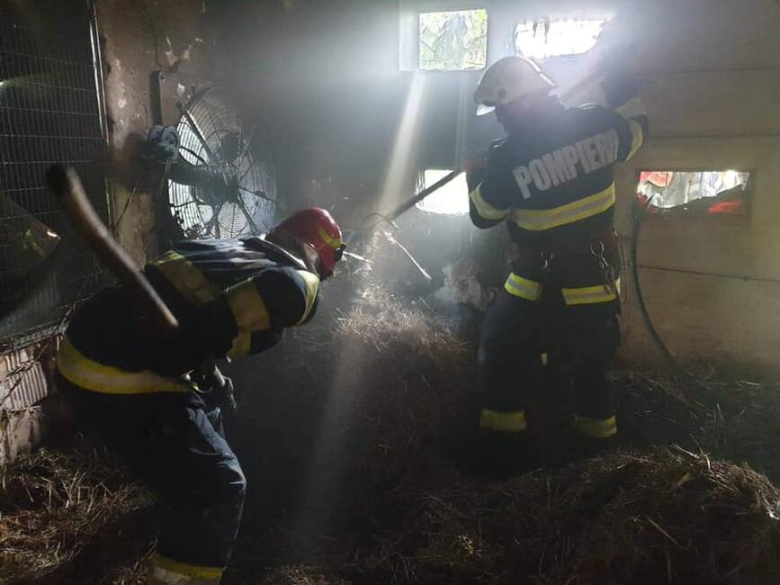 Incendiu cu degajari mari de fum  la o hala pentru cresterea puilor | imaginea 1