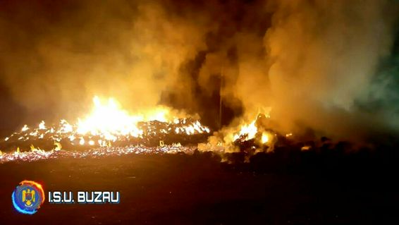 6 tone de furaje au ars intr o gospodarie buzoiana | imaginea 1