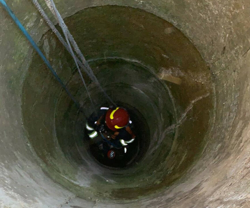 Au salvat un caine dintr o fantana si un cal dintr un bazin cu apa | imaginea 1
