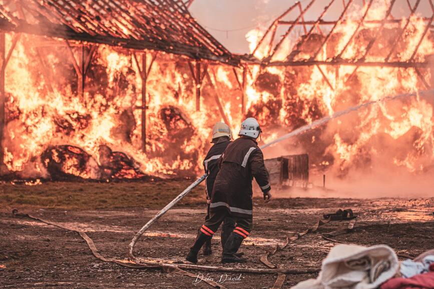 Incendiu generalizat la un depozit de furaje | imaginea 1