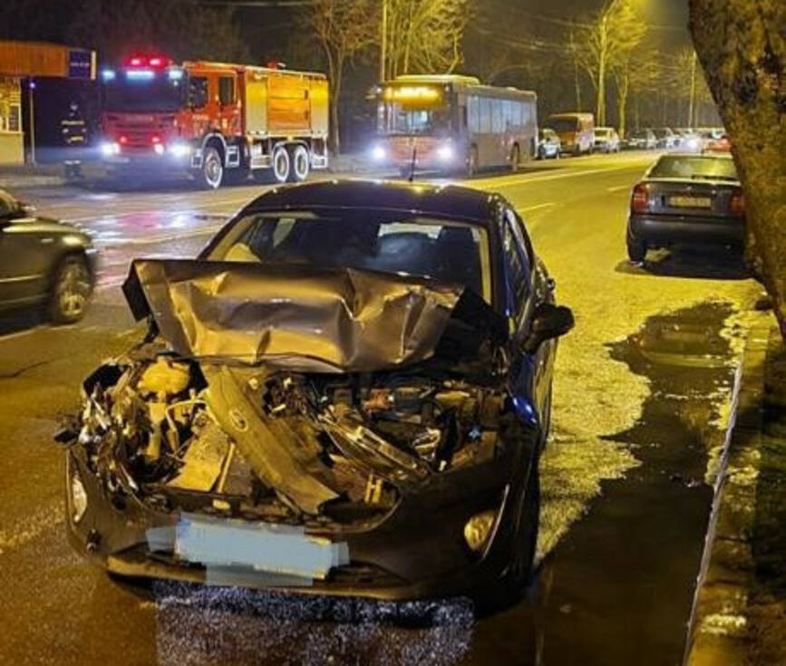 Doua accidente rutiere si un caine salvat dintr un canal | imaginea 1