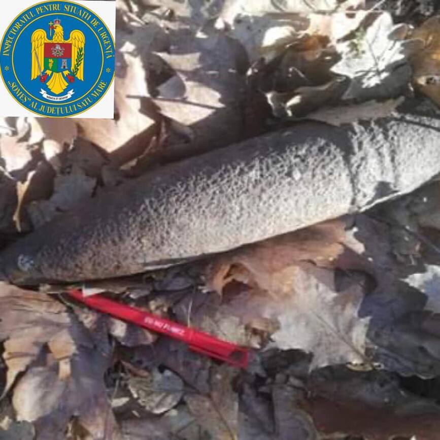 Proiectil explozibil  descoperit in padure de un padurar | imaginea 1