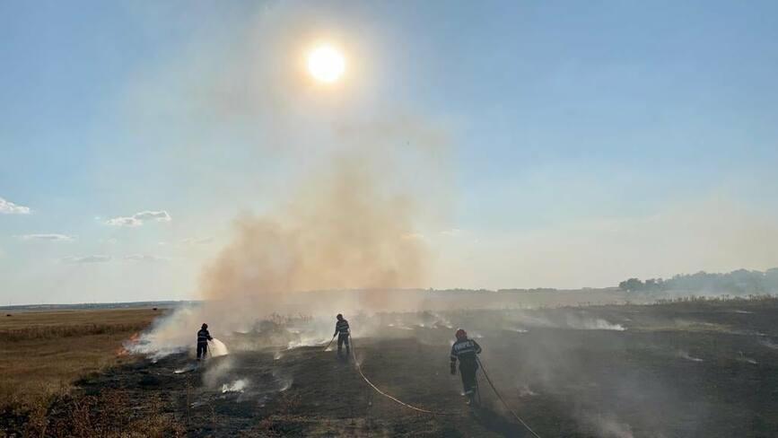7 incendii de vegetatie uscata si stuf  gestionate in 48 de ore | imaginea 1