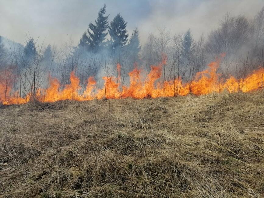In trei zile  pompierii mureseni au intervenit pentru stingerea a 6 incendii de vegetatie uscata | imaginea 1