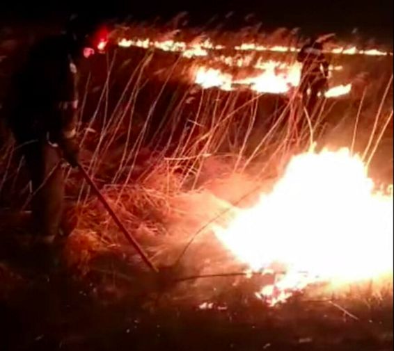 Misiuni ale pompierilor militari suceveni | imaginea 1