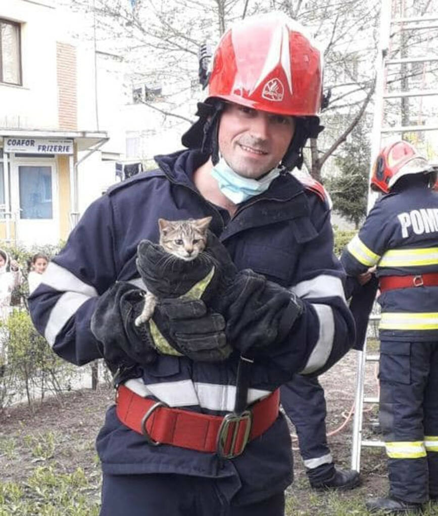 Un pui de pisica a avut mare noroc cu pompierii baimareni | imaginea 1