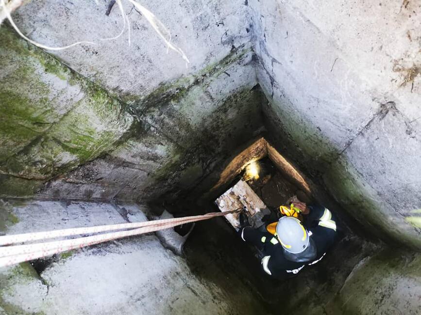 Au salvat un catel cazut intr o gura de canalizare neacoperita | imaginea 1