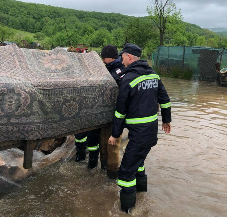 Pompierii au evacuat 30 de animale si pasari din gospodariile afectate de inundatii | imaginea 1