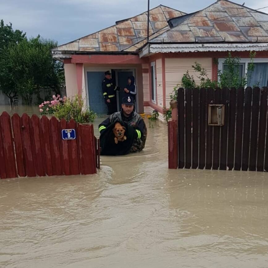Au intervenit pentru salvarea si evacuarea persoanelor si animalelor aflate in pericol | imaginea 1