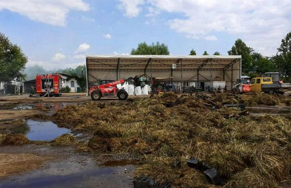 1 500 de baloti de furaje si doua hale au ars intr un incendiu devastator | imaginea 1