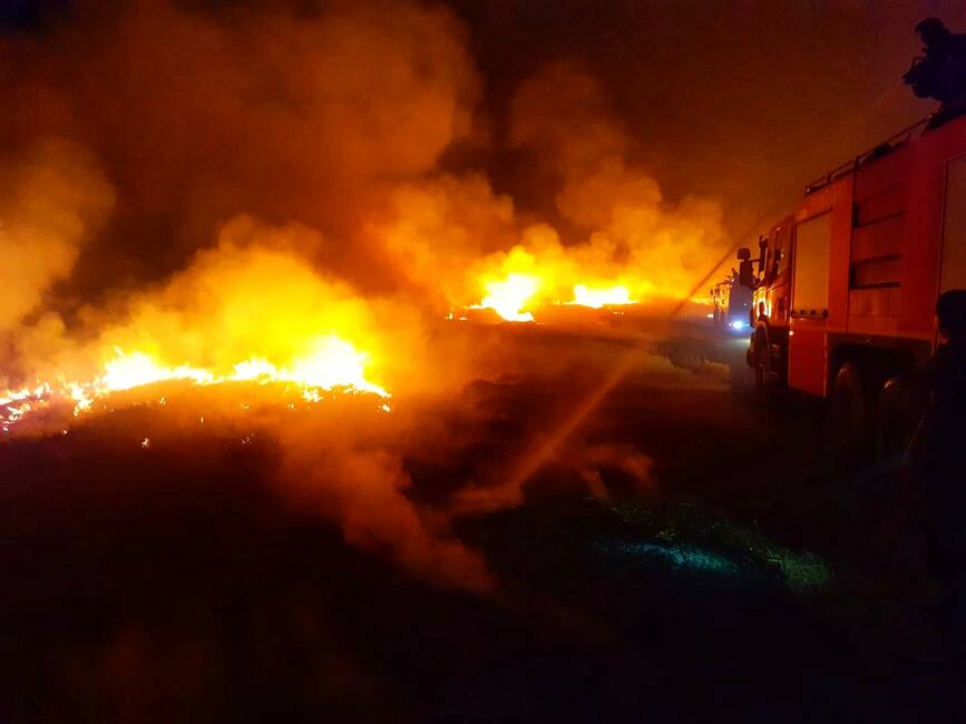 Ore intregi de lupta cu flacarile la un incendiu de vegetatie uscata si gunoi menajer | imaginea 1