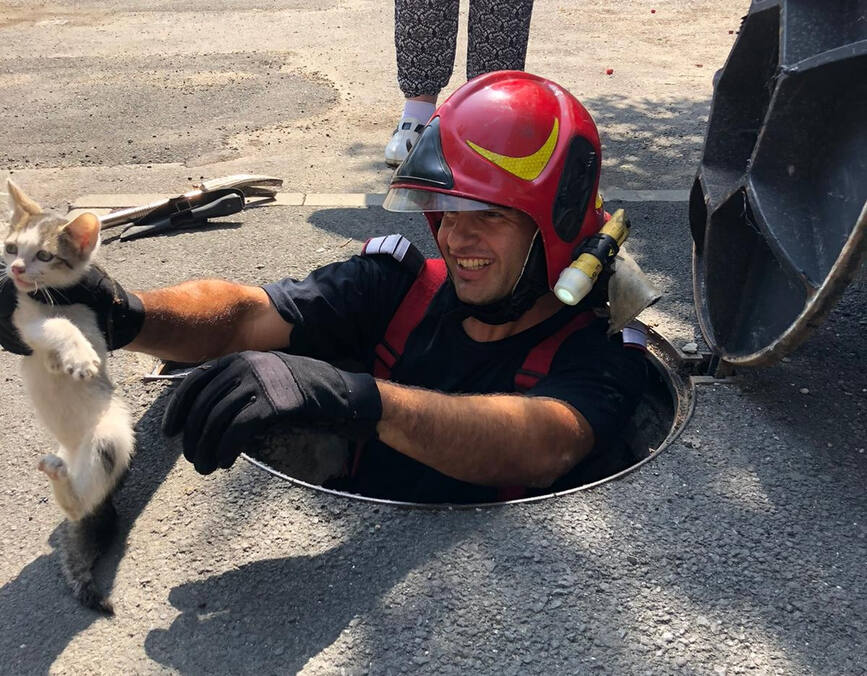 Pe langa incendii si misiuni pirotehnice  au mai salvat si un pisoi | imaginea 1