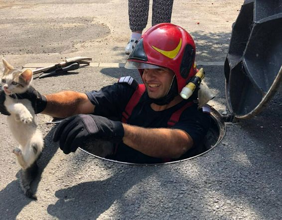 Pe langa incendii si misiuni pirotehnice au mai salvat si un pisoi | imaginea 1