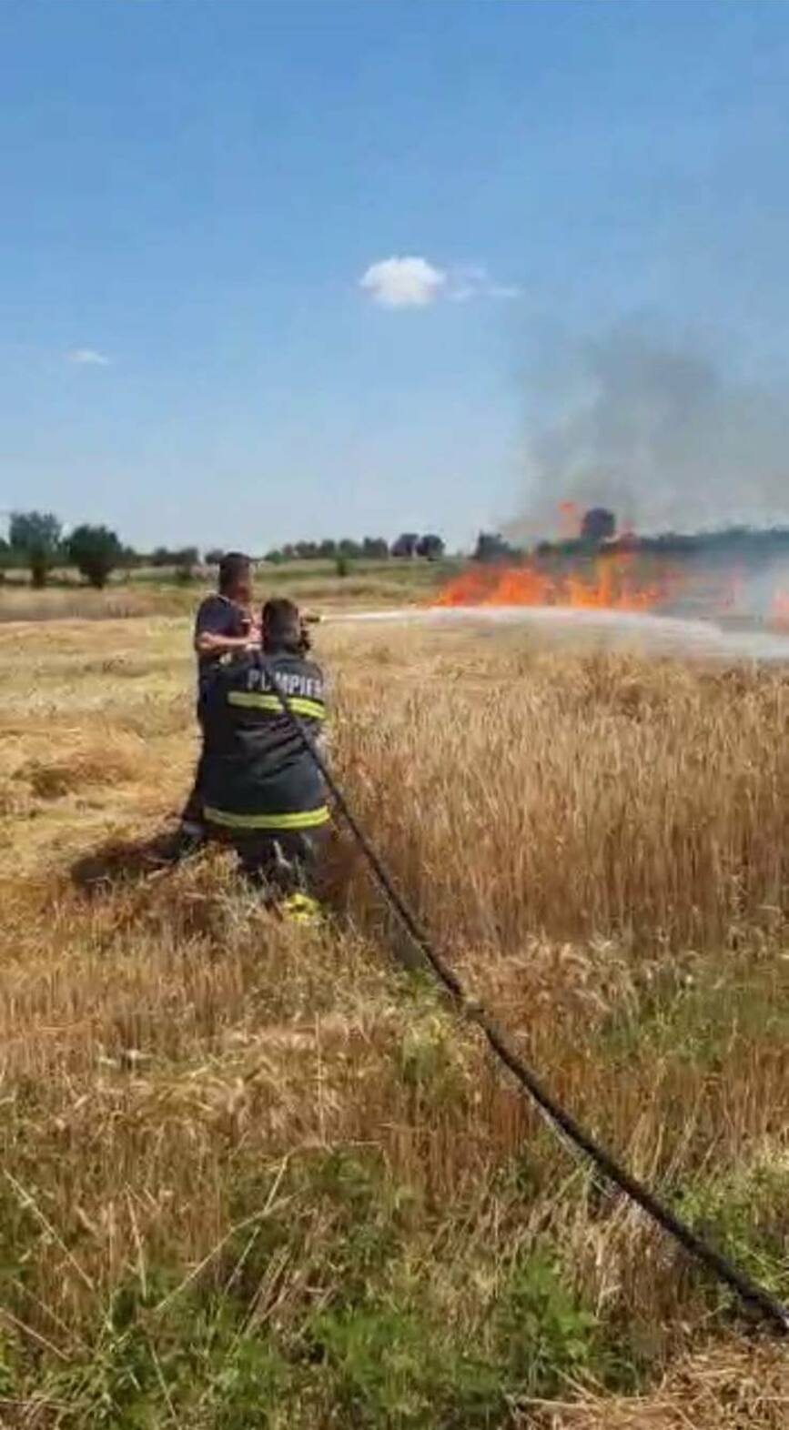 Sute de hectare in flacari   58 de incendii de vegetatie in judetul Dolj | imaginea 2