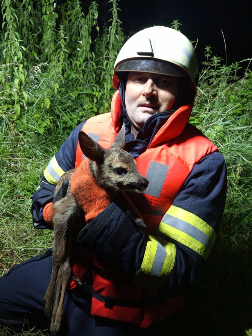 Un incendiu  doua accidente rutiere  doua misiuni pirotehnice si salvare de animale | imaginea 1