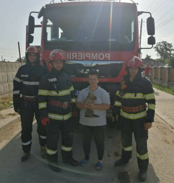 Cazut intr un canal adanc un catel a fost salvat de pompierii din Flamanzi | imaginea 1