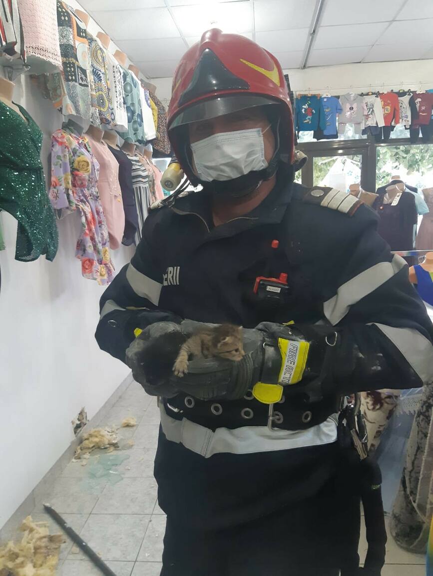 Doua misiuni de salvare de animale  gestionate de pompierii argeseni | imaginea 1