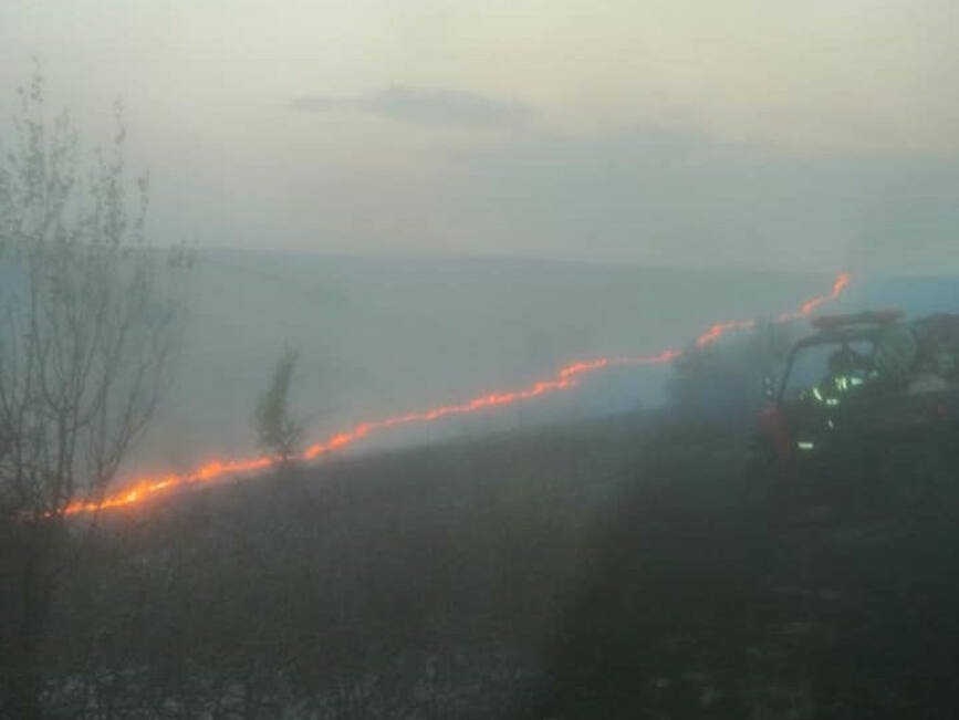 Incendiile de vegetatie uscata  un pericol pentru agoniseala cetatenilor | imaginea 1