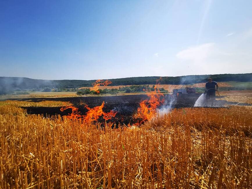 Un fermier era sa ramana fara hrana pentru animale din cauza unui incendiu de vegetatie | imaginea 1