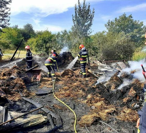 Animale si pasari au pierit intr un incendiu violent in gospodaria unei familii | imaginea 1