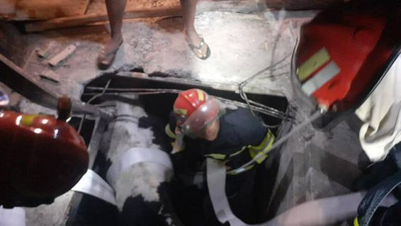 Au intervenit pentru extragerea unei vaci cazute intr un beci | imaginea 1