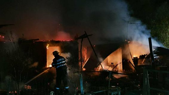 36 de animale au pierit intr un incendiu la un adapost | imaginea 1