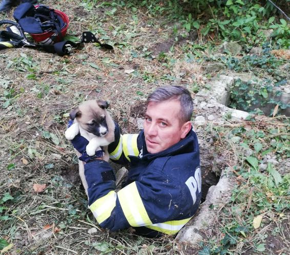 Salvarea unui catelus cazut intr un canal dintr un parc | imaginea 1