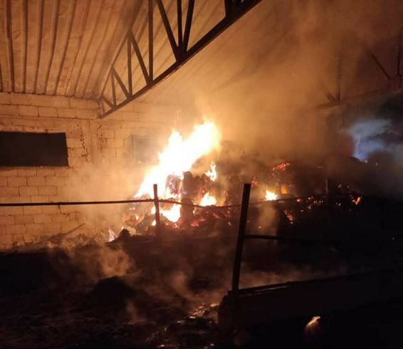 Sute de animale au pierit in urma unui incendiu devastator | imaginea 1