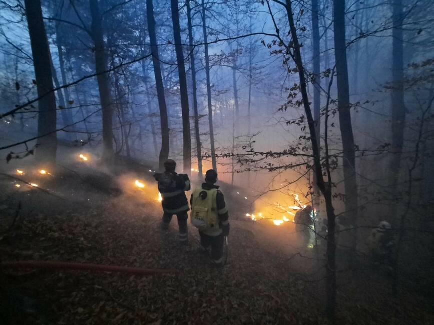 Misiunea pentru lichidarea incendiului din zona forestiera Piatra Soimului continua | imaginea 1