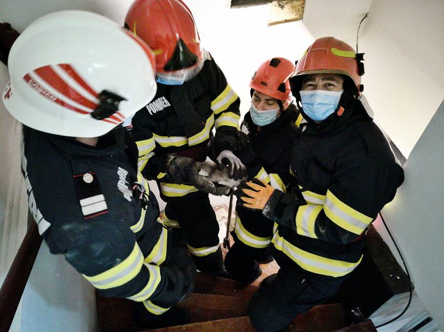 Pisica prinsa intre doi pereti  salvata de pompierii mureseni | imaginea 1