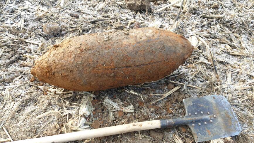 Bomba de aviatie de 100 kg  descoperita pe un teren agricol | imaginea 1