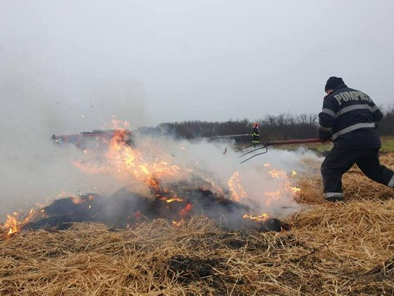 Interventie la incendiu de plante furajere | imaginea 1