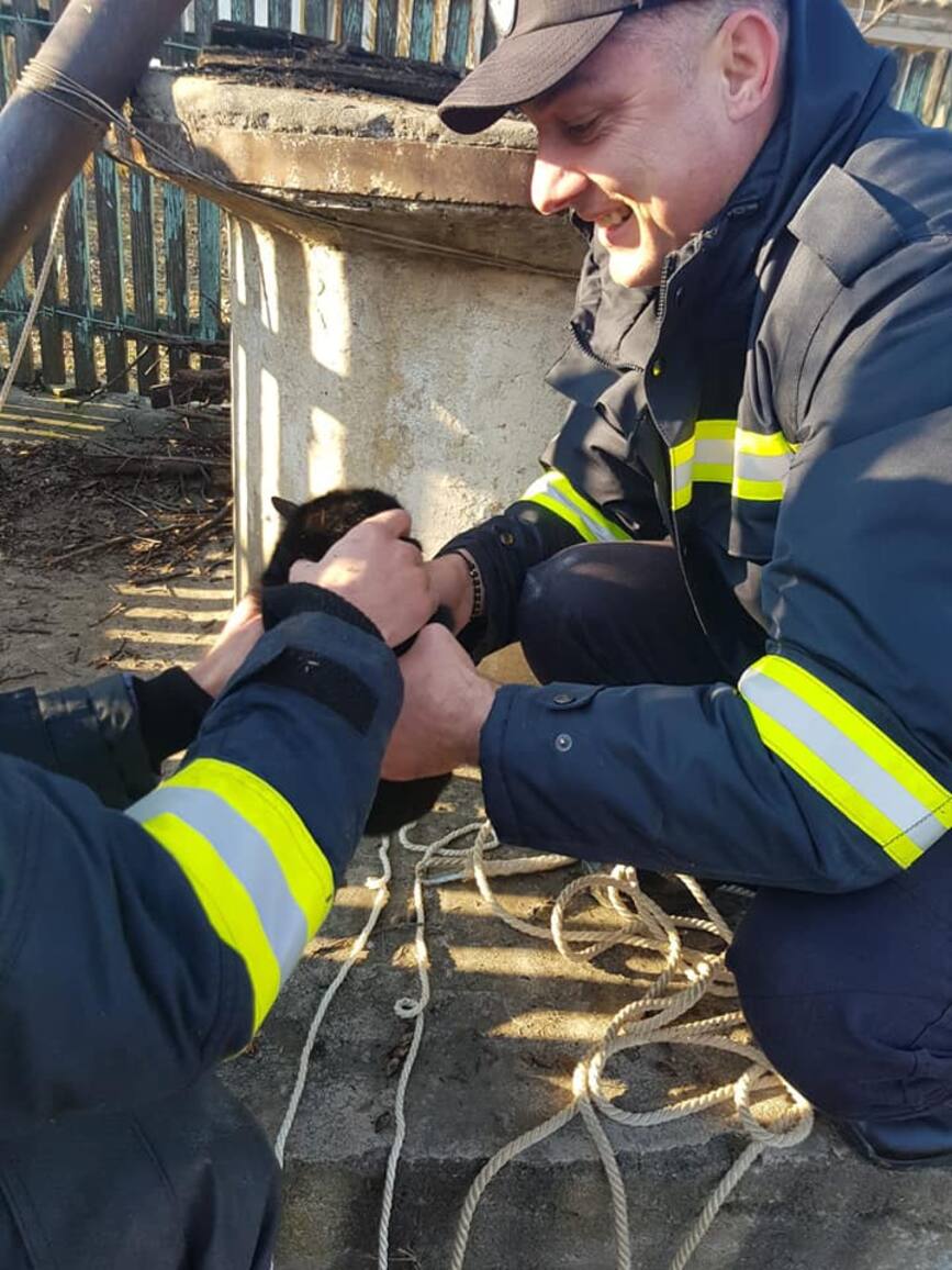 Pompierii au salvat o pisica dintr o fantana dezafectata | imaginea 2