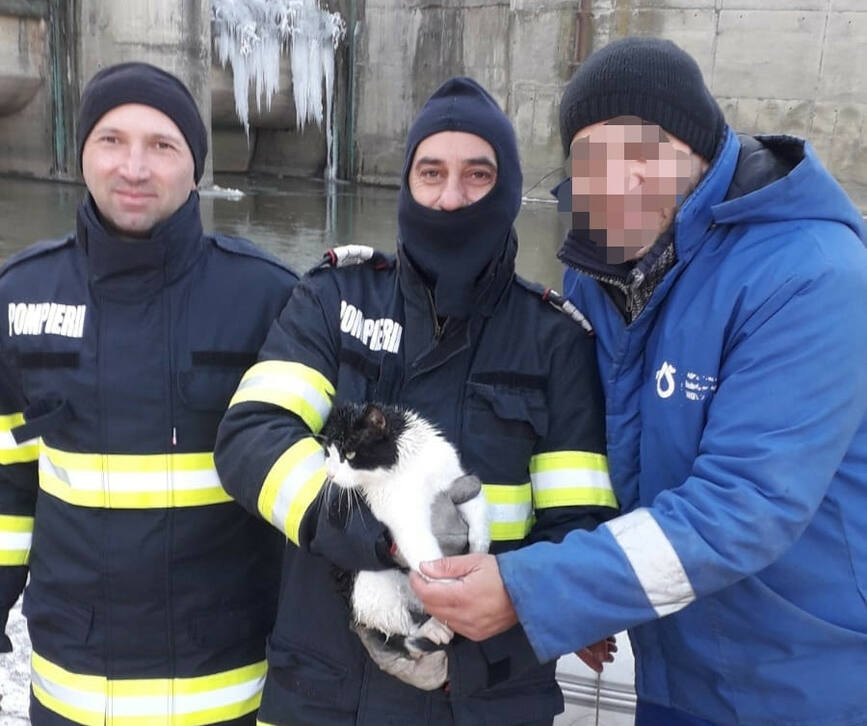 O pisicuta  inghetata   salvata cu barca de catre pompieri | imaginea 1